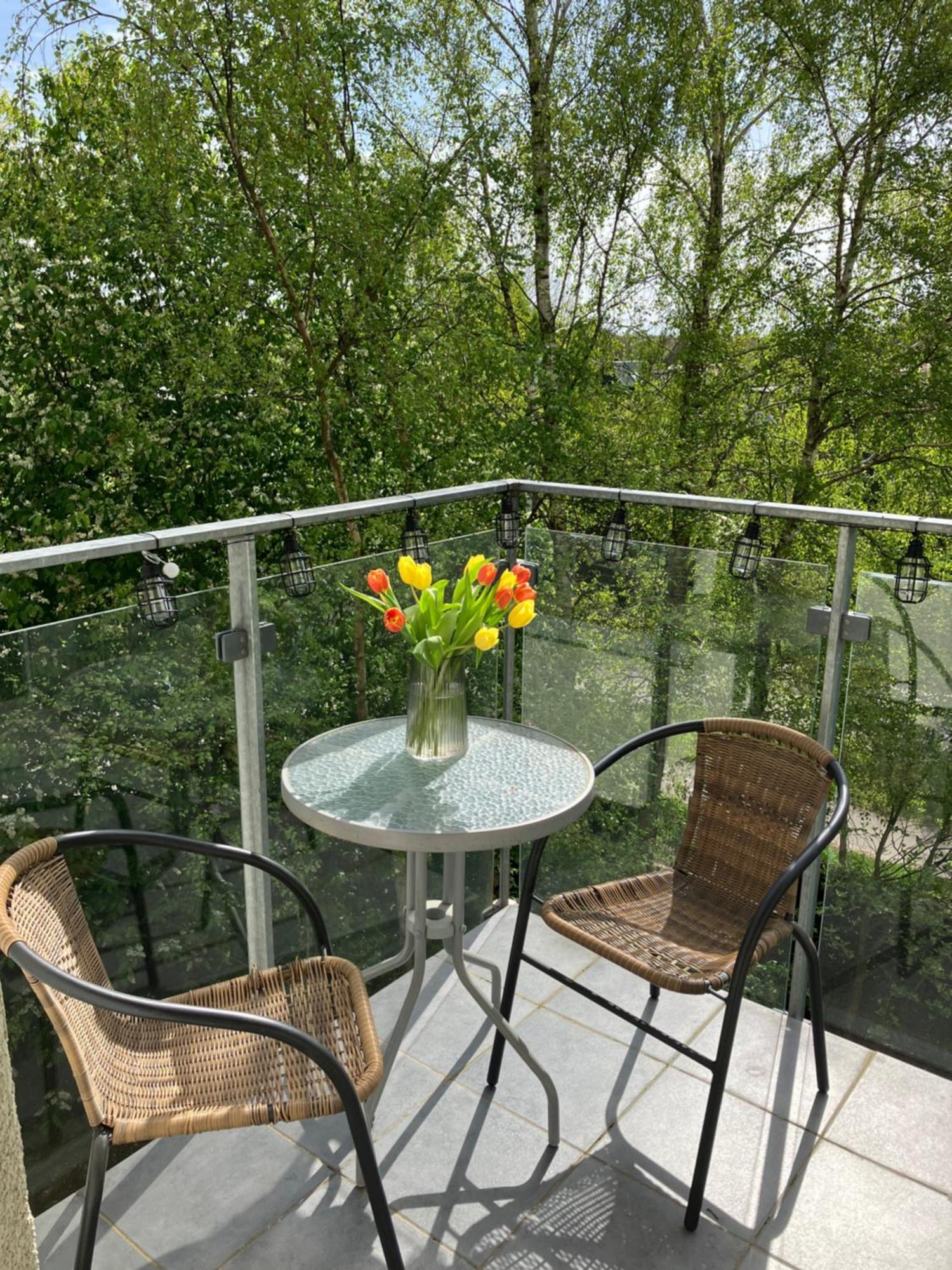 Apartament Vita Polanki كولوبرزيغ المظهر الخارجي الصورة